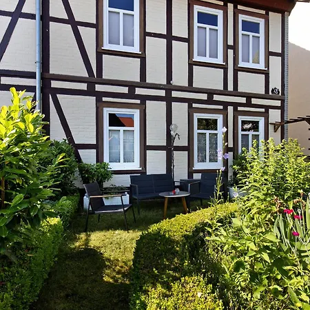 Kastanienallee 43
