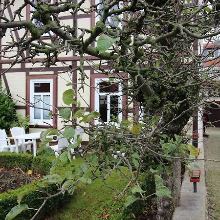 Kastanienallee 43 Сasa de vacaciones Ilsenburg